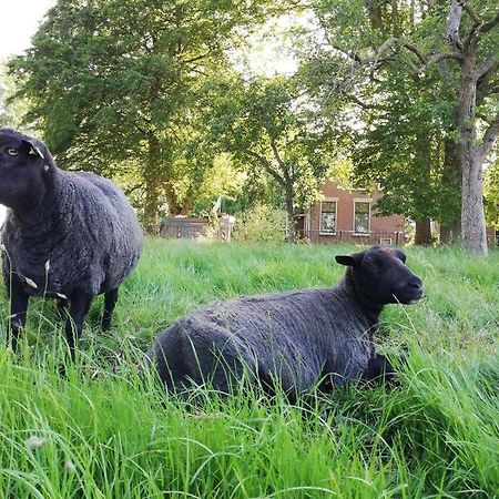 'T Pekelhuis - Vakantiehuisje Op Boerderij Huize Blokland Hem Eksteriør bilde