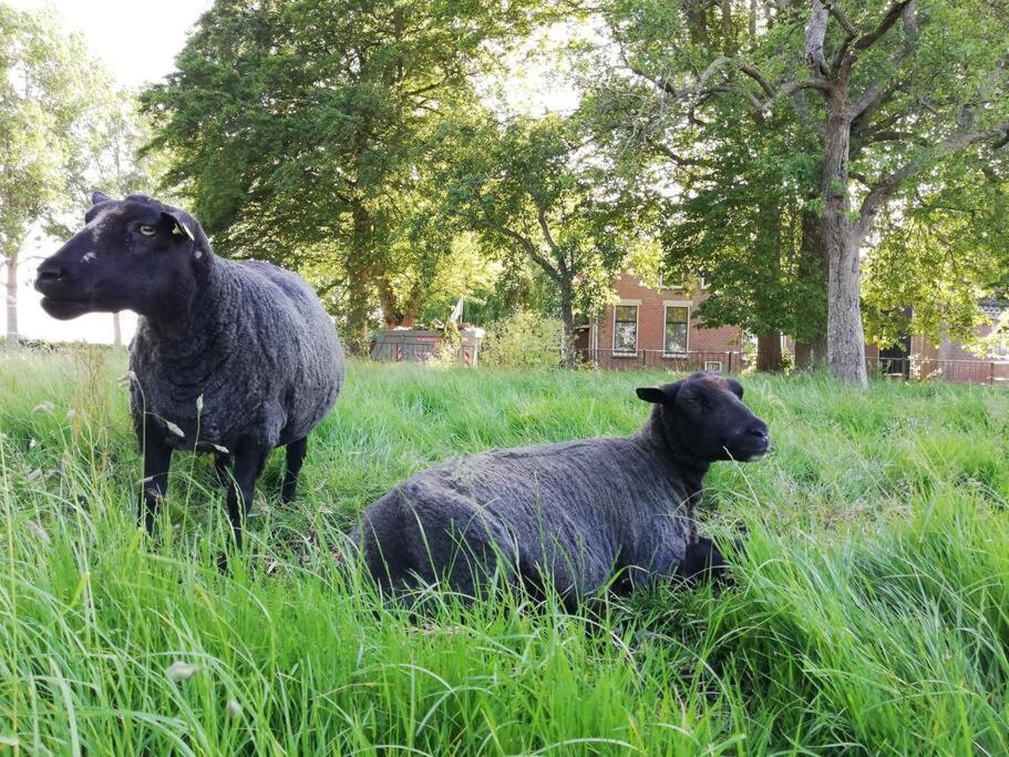 'T Pekelhuis - Vakantiehuisje Op Boerderij Huize Blokland Hem Eksteriør bilde
