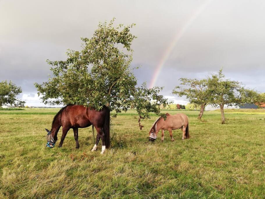 'T Pekelhuis - Vakantiehuisje Op Boerderij Huize Blokland Hem Eksteriør bilde